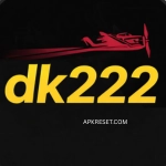 DK222 Game