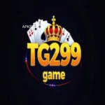 TG299 Game