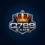 Q789 Game