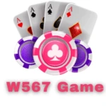 W567 Game