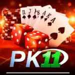 PK11 Game APK