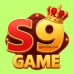 S9 game