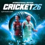 cricket 26