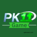 PK11 Game